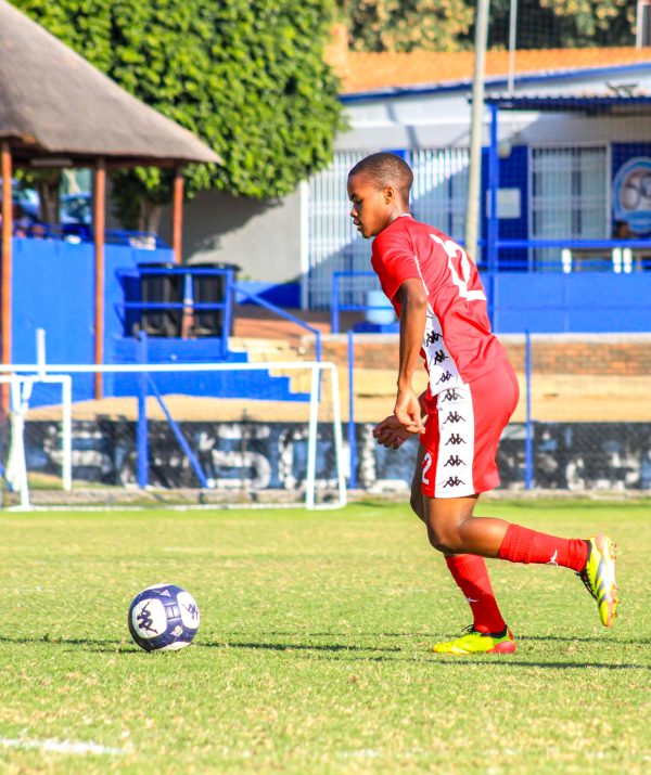 ED6FC4A0-4C5C-44A0-931C-4195BE75E8D1